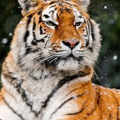 Profile image of 서라더