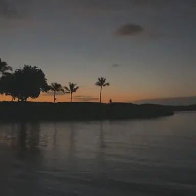 Profile image of 우치나가 애리