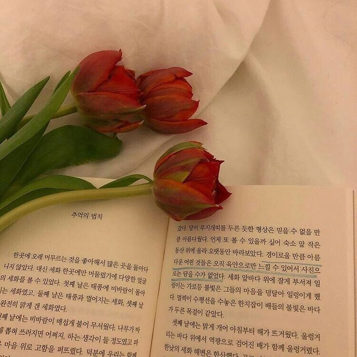 귀엽고 귀엽고 귀여운 우리 선배님 대표 이미지