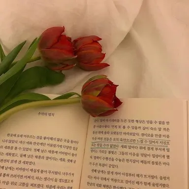 Profile image of 포비돈요오드