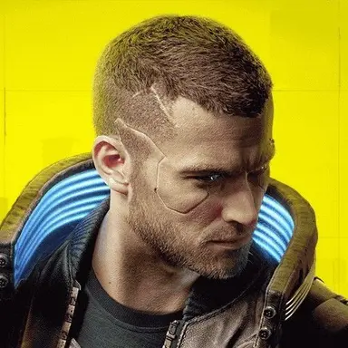 Profile image of V