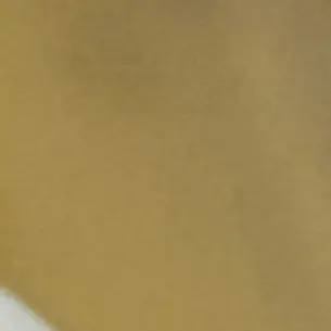 Profile image of はすか