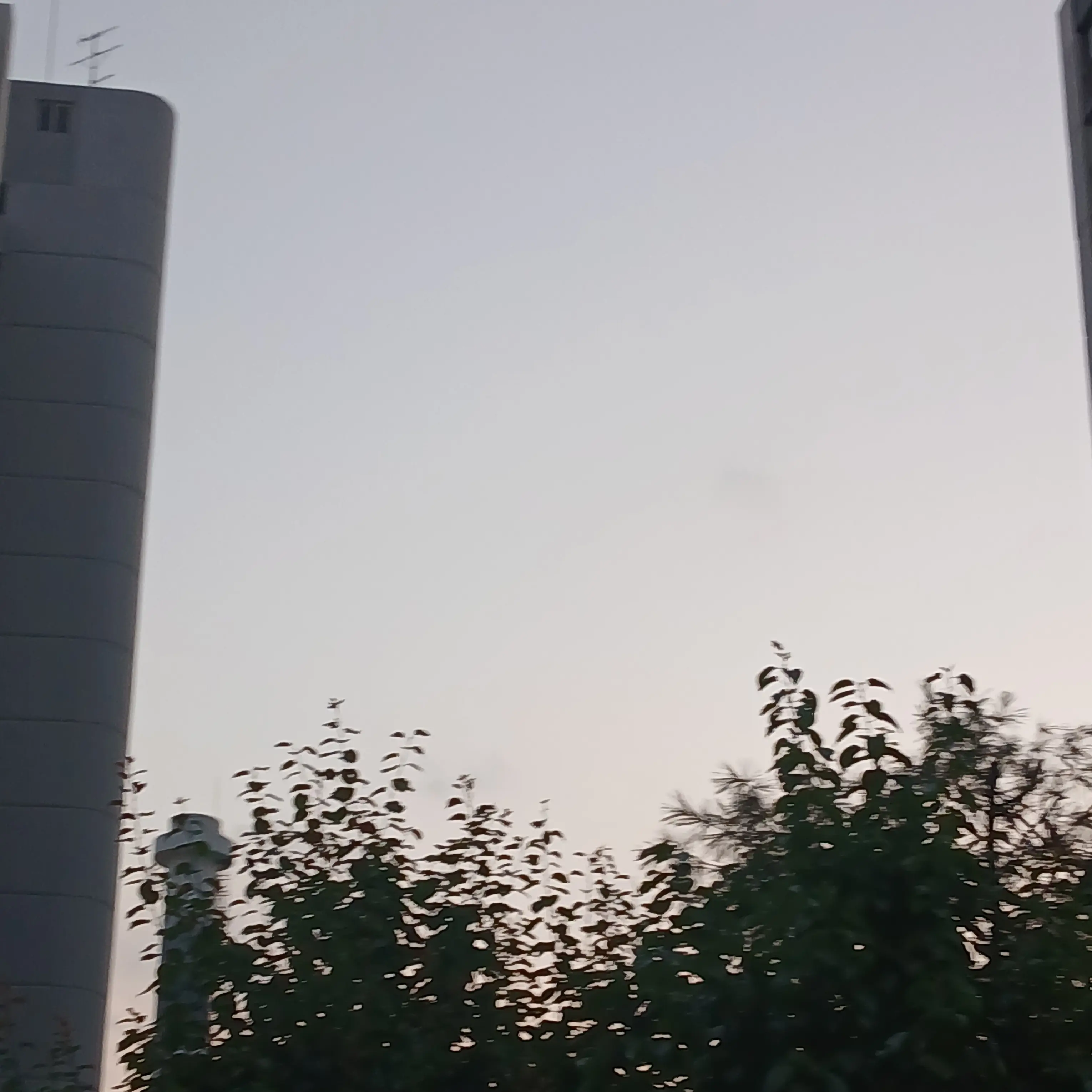 PoliteOven3571의 리더랑,막내가 바뀐 팀샐,뜰팁