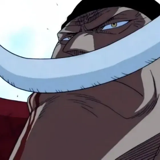 anime_museme의 흰 수염