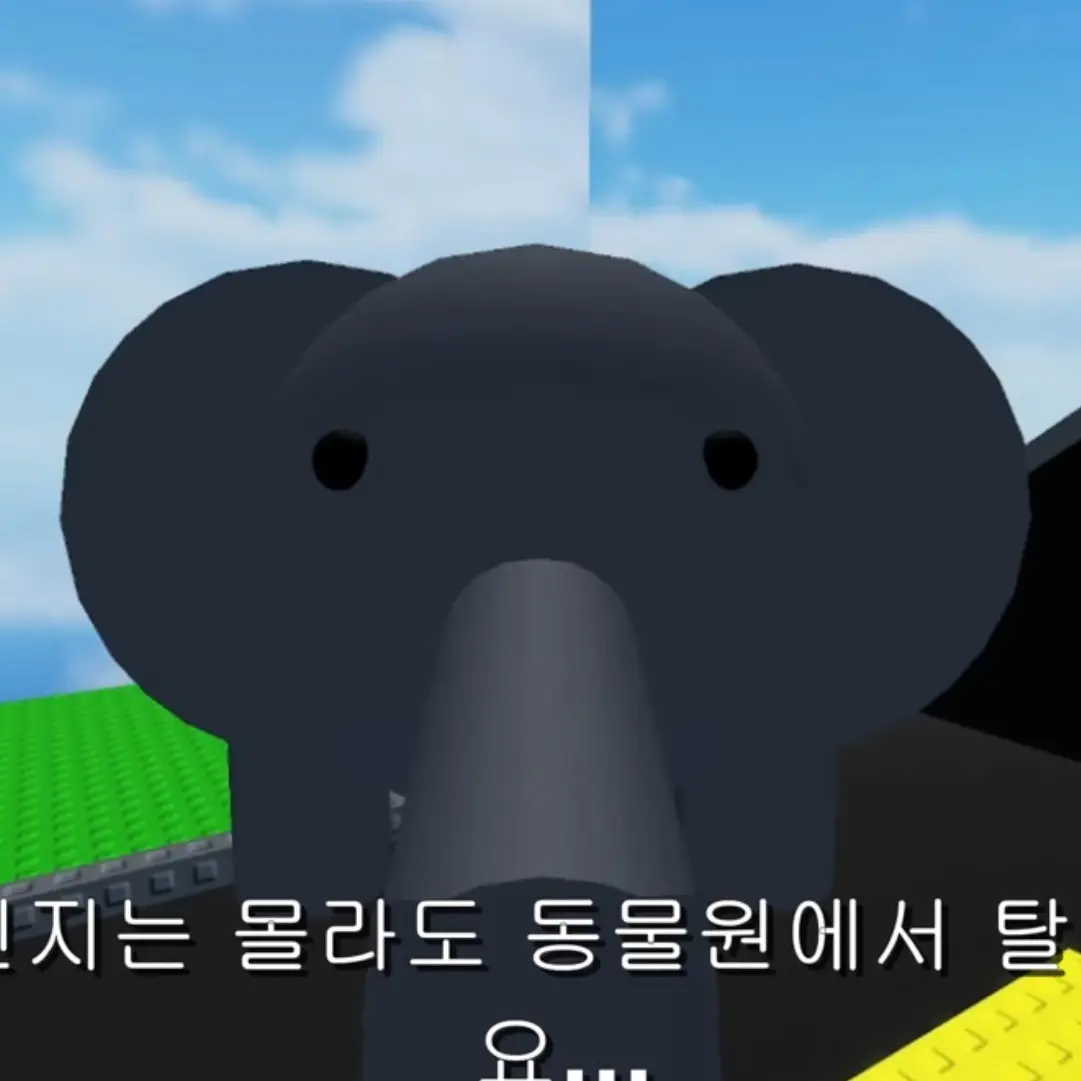 lieisabsbs의 유기동물원을 탈출한 코끼리