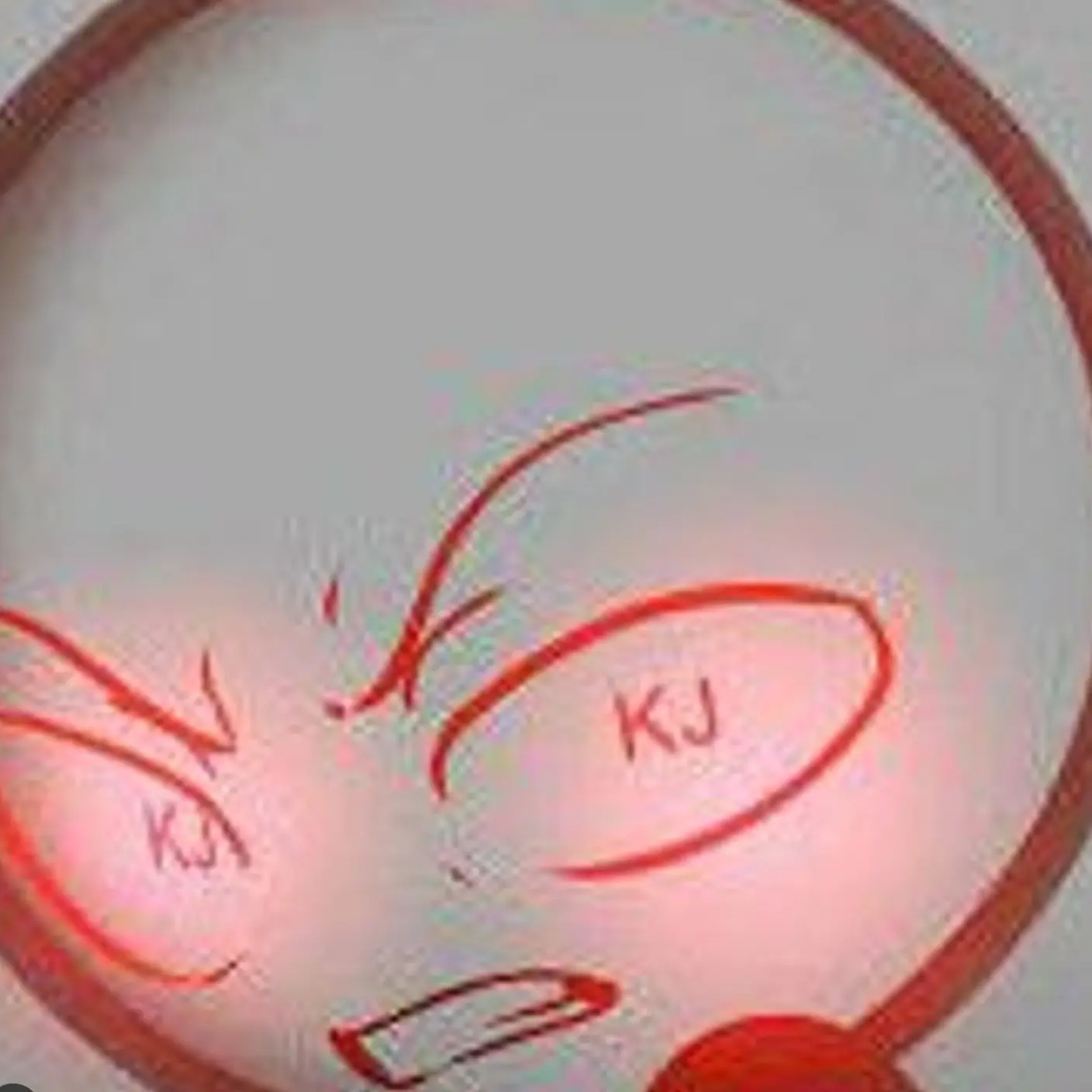 67901의 대저택 뮤지컬