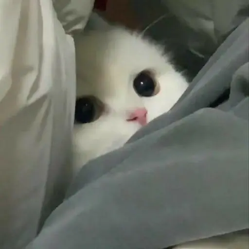 so_ra0968의 :.̸̭̜̪̣̥̤̝̖̥̿̋̏̿̄͑̚͠