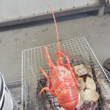 Profile image of 大森元貴