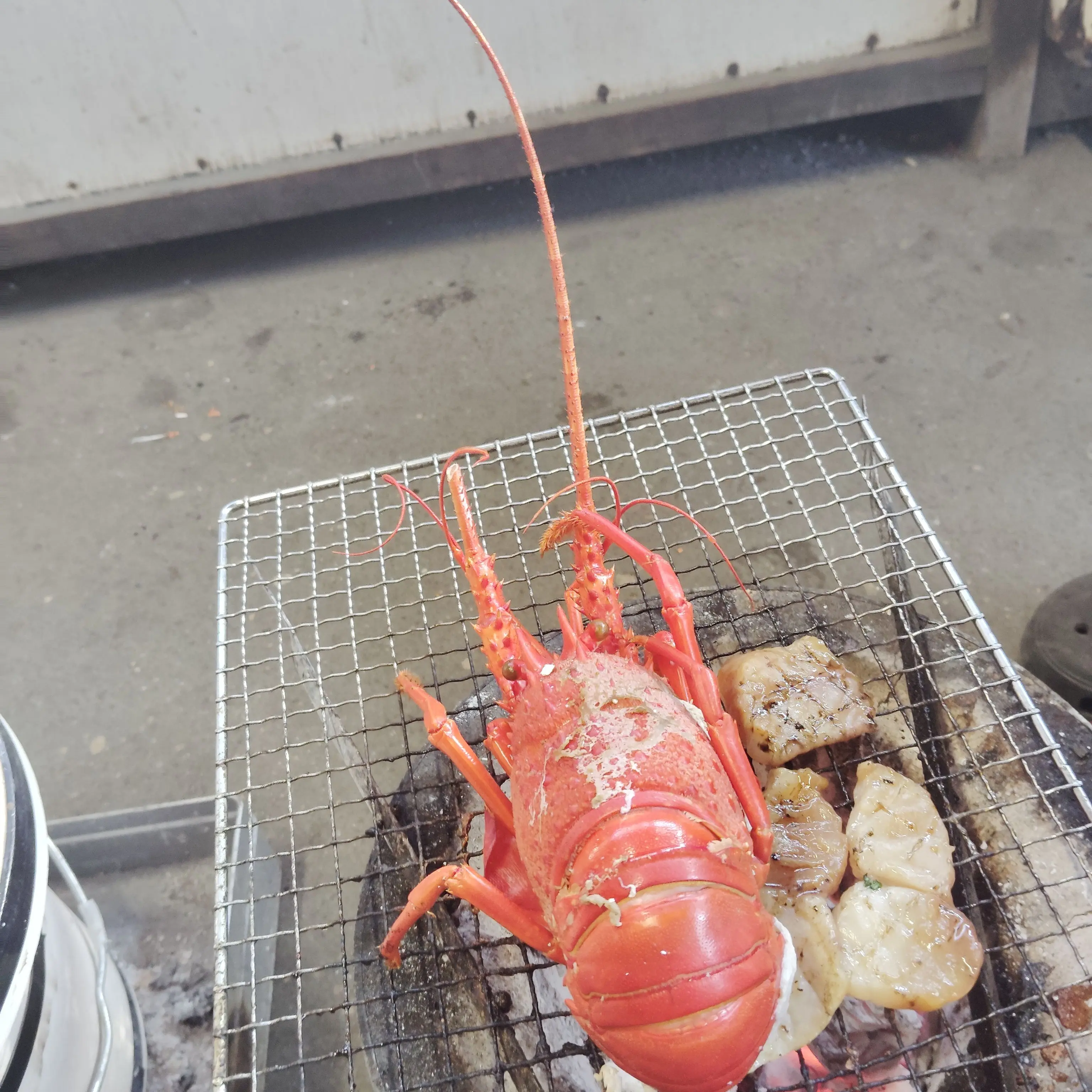 GloomyAlarm0763의 隙間