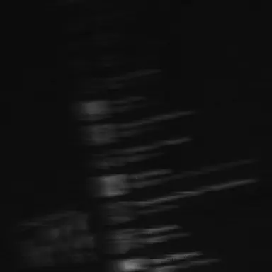 Profile image of 유지민