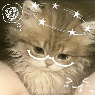 Profile image of 担任