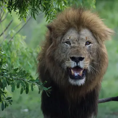 Profile image of 무토