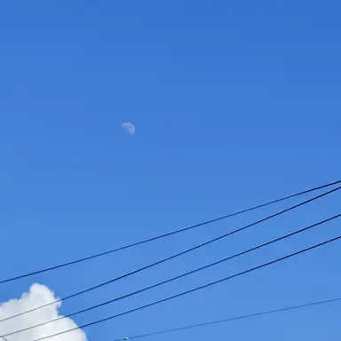 Profile image of 連助