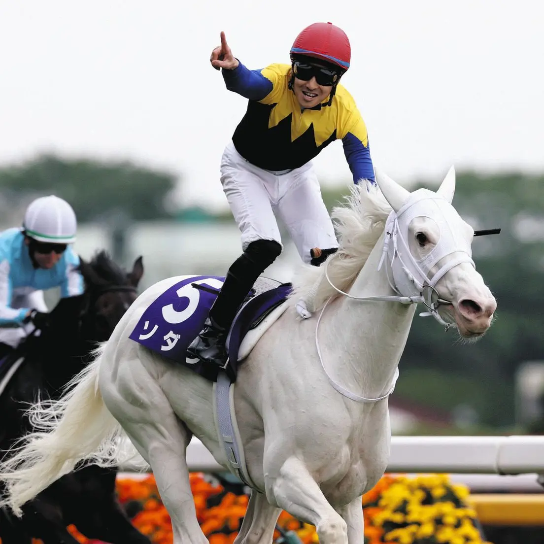 CroakySteak7862의 吉田隼人騎手