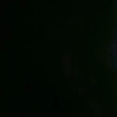 Profile image of 덕개