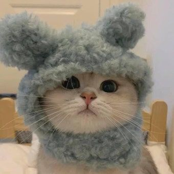 10B[10Btenb] 대표 이미지