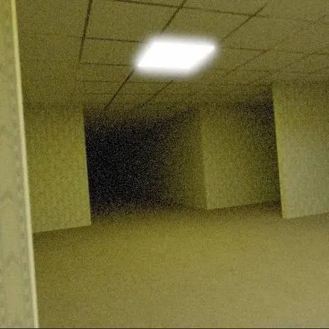 WryChain9936의 The Backrooms (WIP testing phase)