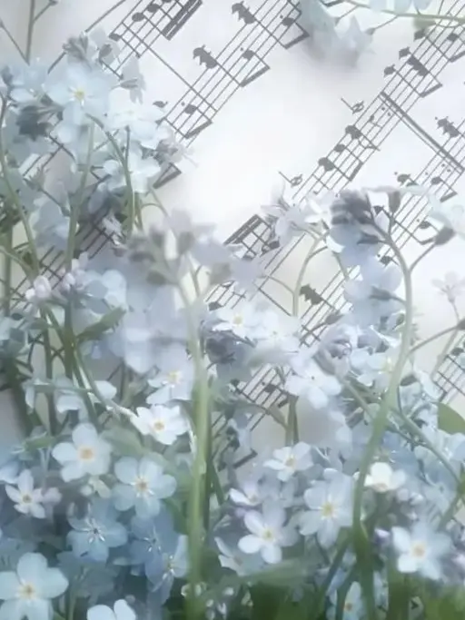 DeafGorge2041의 PIXELY