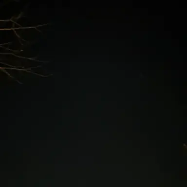 Profile image of 신정태