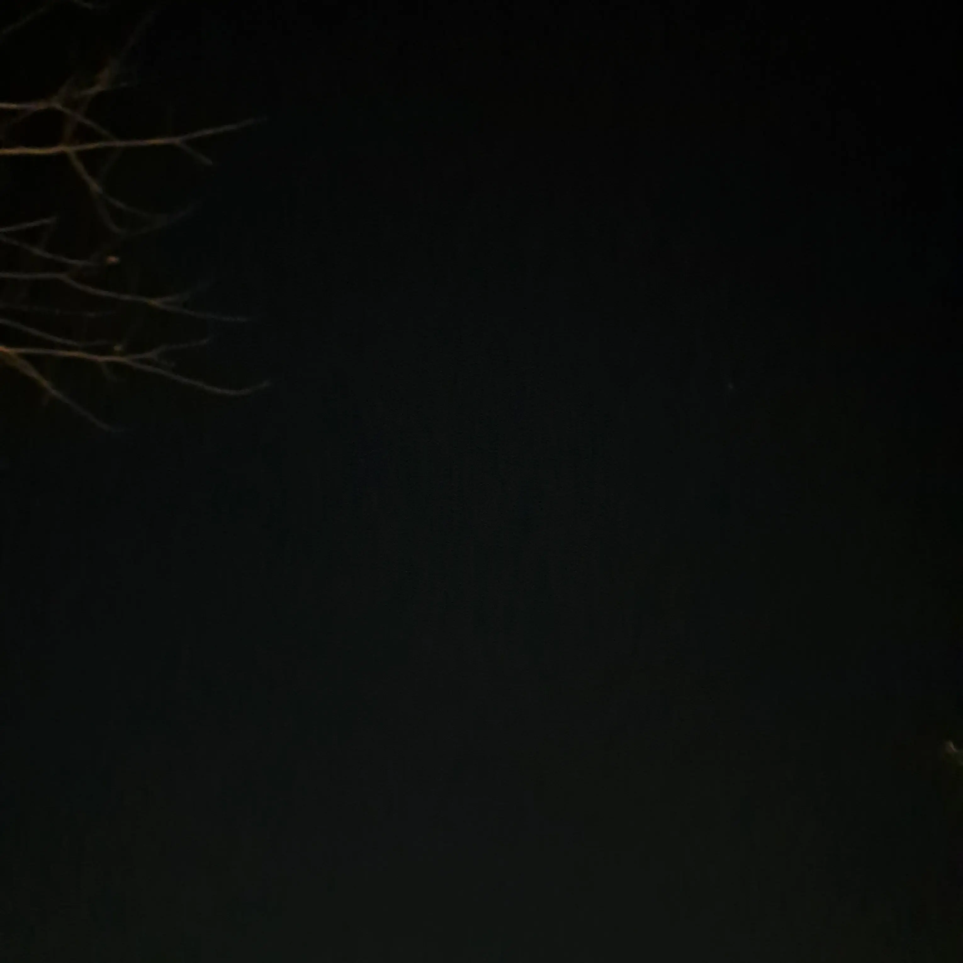 BiasedFlea4002의 🖊