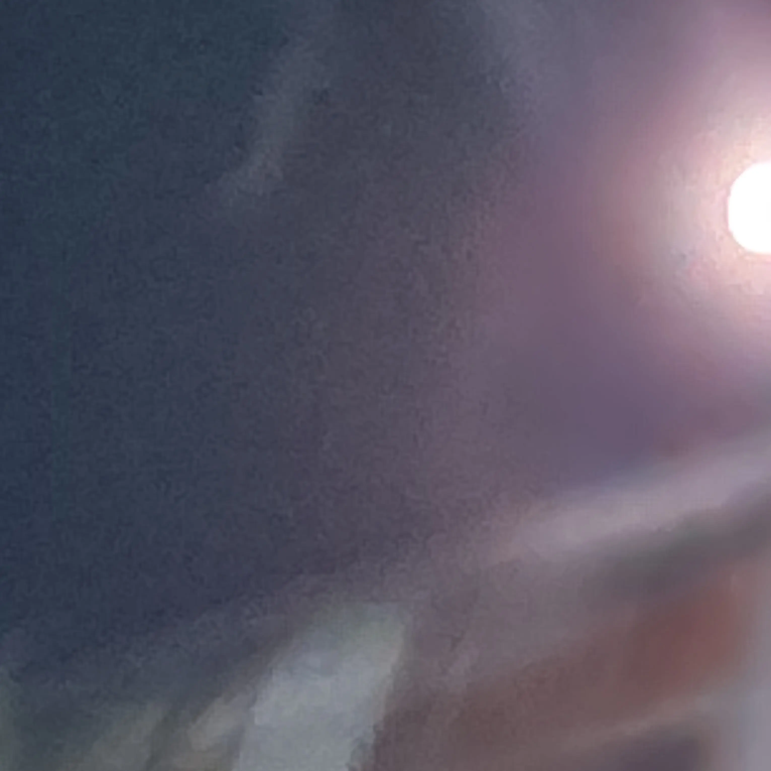 CoarseWing1545의 고고프렌즈 여우