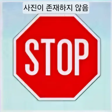 Profile image of 더미 데이터