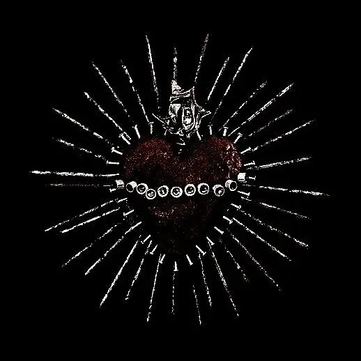 dnv.ixx의 お騒がしいお兄さんに想われています。