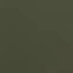 Profile image of 첸