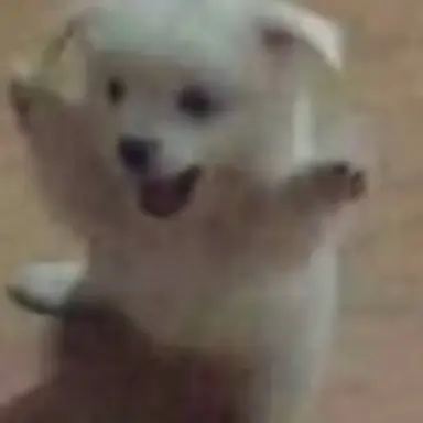 Profile image of 시우민