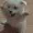 시우민