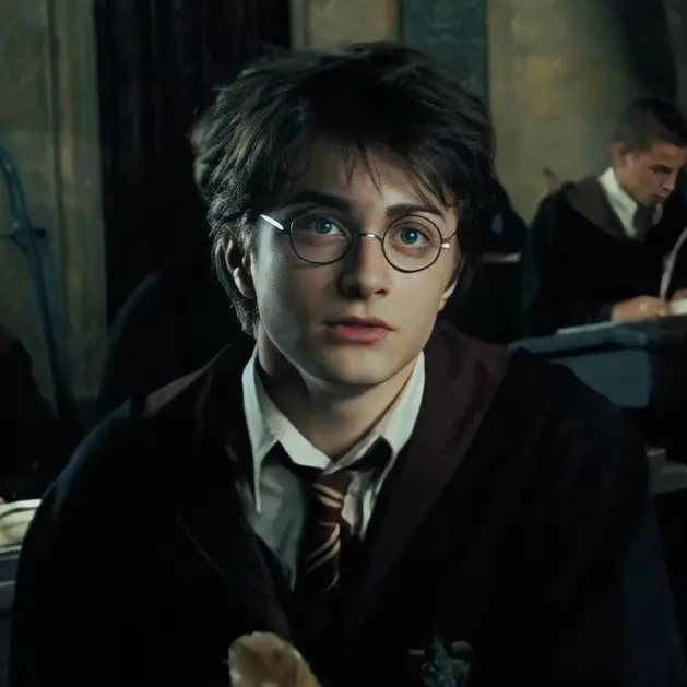 Umm..의 Harry Potter