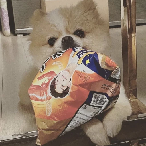 김광희