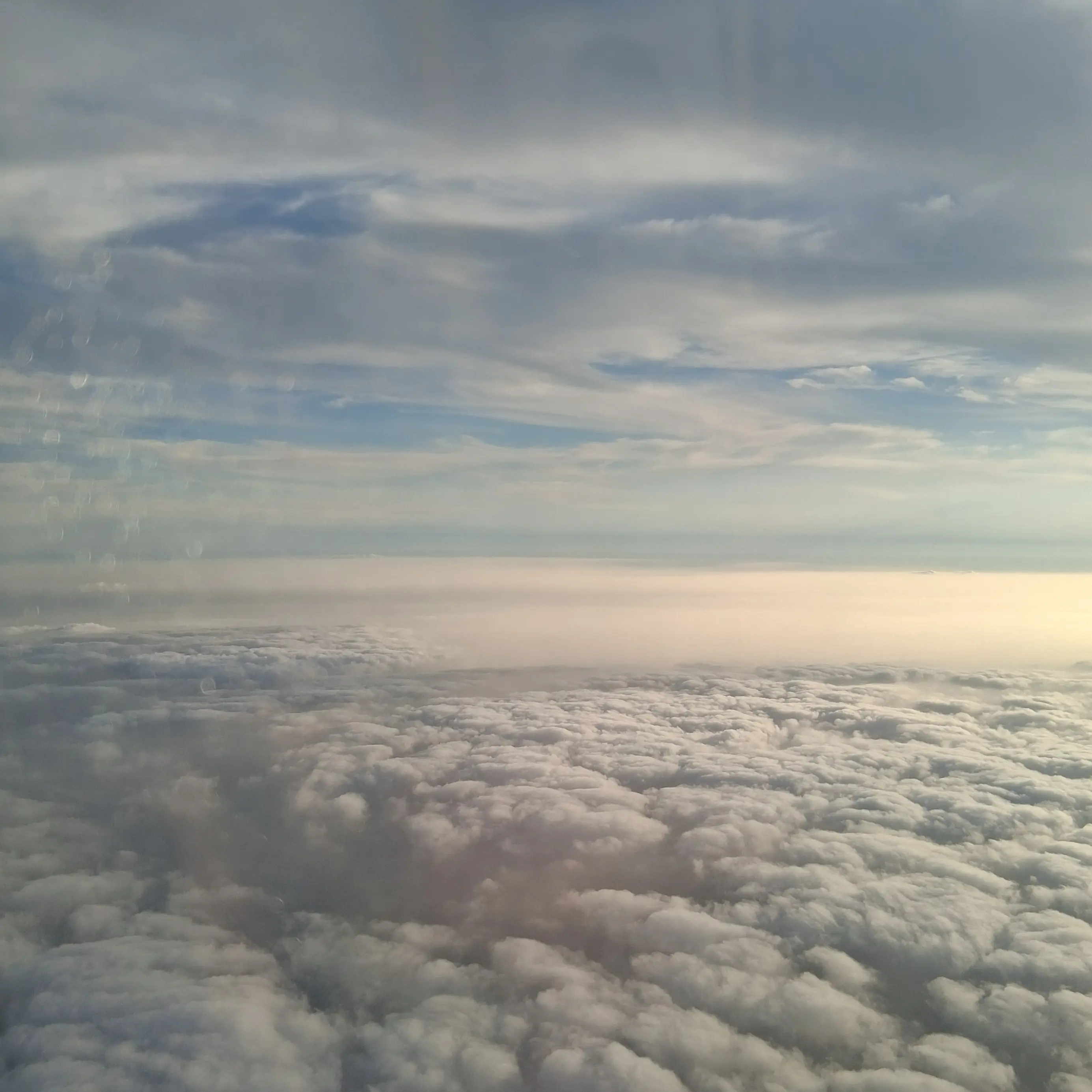 lena081122의 최연소 사령관