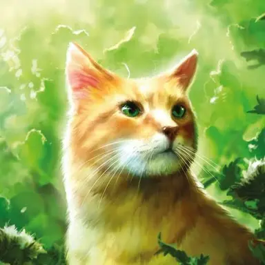 Profile image of Sandstorm