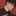 최예준