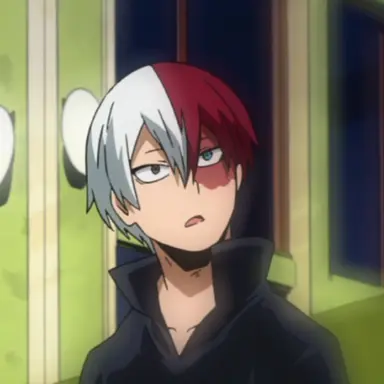 Profile image of Shoto Todoroki