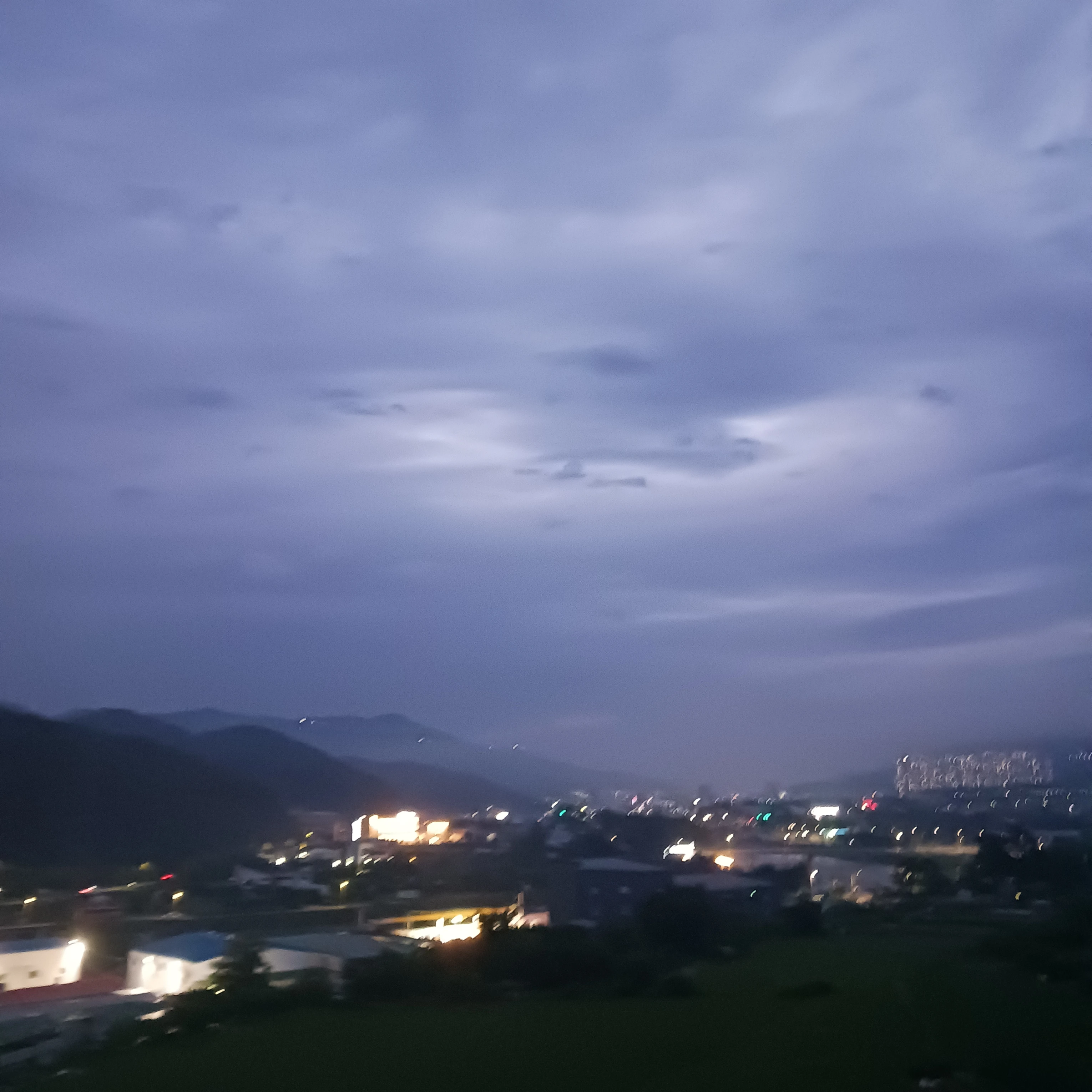비흐