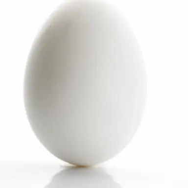 Profile image of Egg Edgar