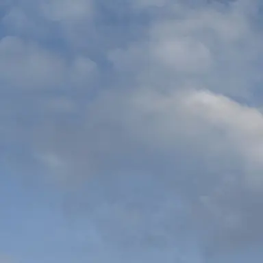 Profile image of 잠경위