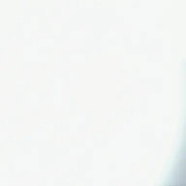 Profile image of 송은석
