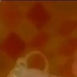 Profile image of 셰들레츠키