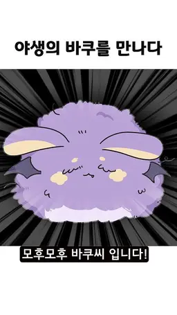 Profile image of 모르모트