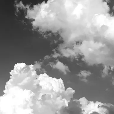 Profile image of 김기명