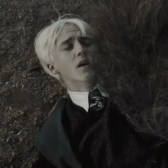 Ki_diariesss의 Draco Malfoy- Hippogriff Lesson