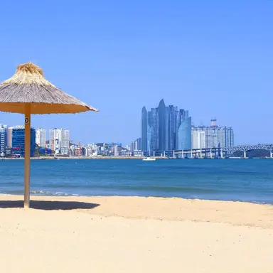 Profile image of 나나미 켄토