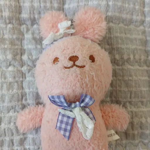 PinkEmber0454의 토순이