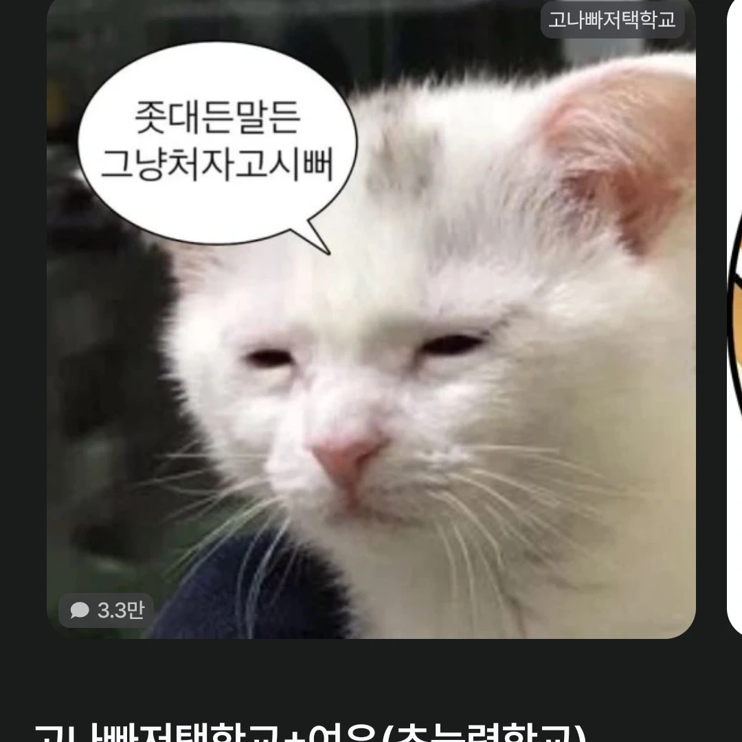 여우
