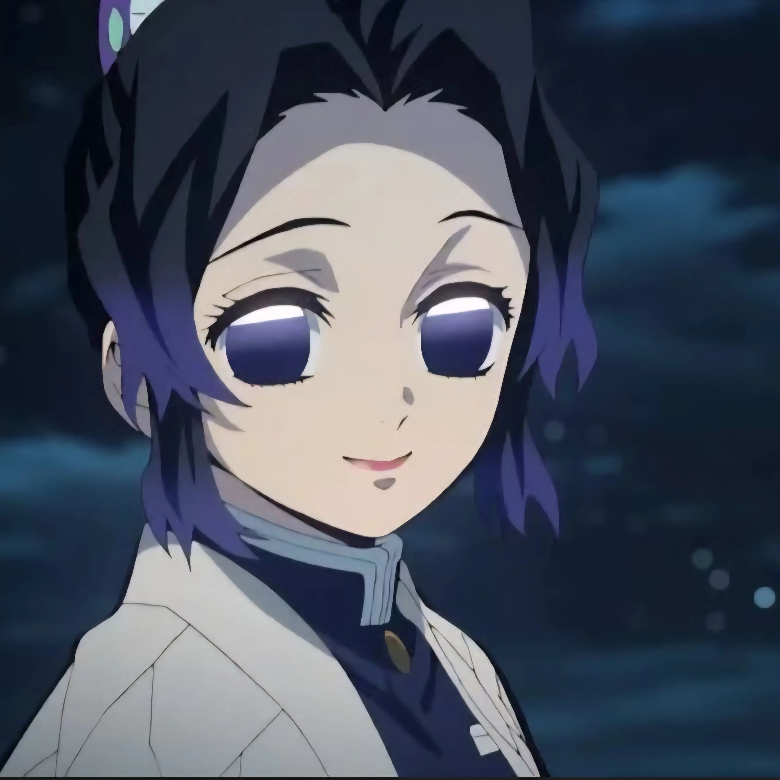 NimbleSkier8362의 시노부