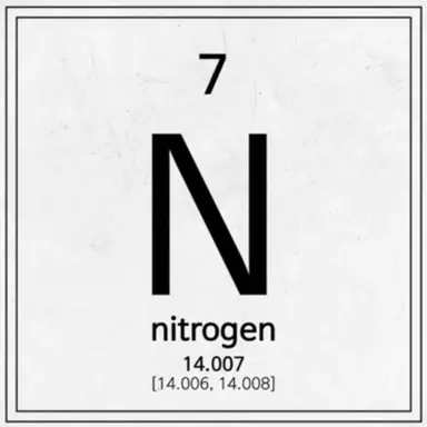 Profile image of Nitrogen