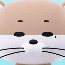 11.5.iero의 이상혃